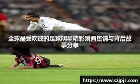 永利澳门表现突出