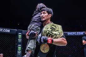 意甲前瞻比分预测：维罗纳VS亚特兰大，里尔，门兴全部拿下！